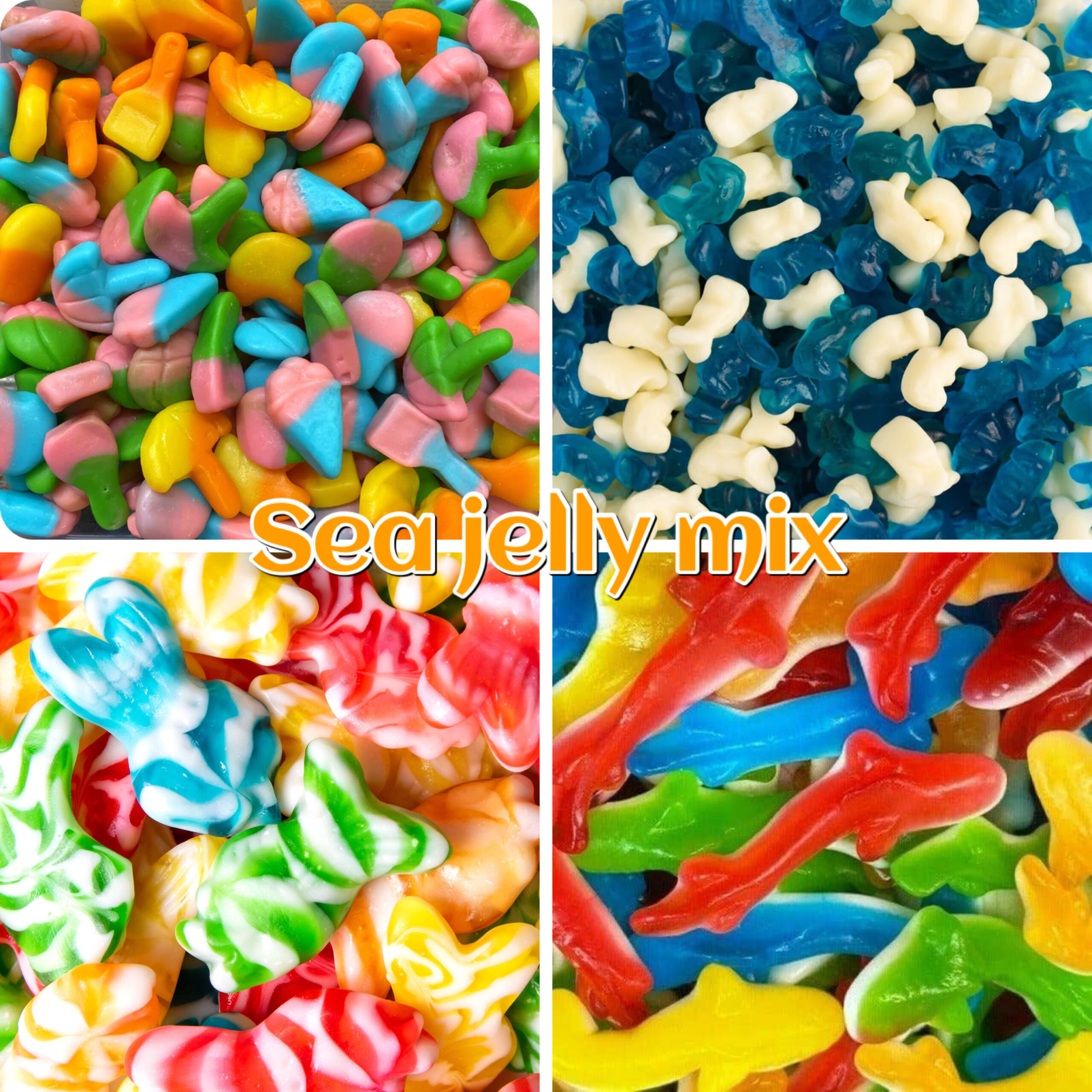Under the sea jelly mix