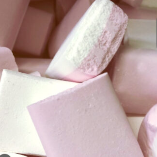 10x sherbet ice blocks